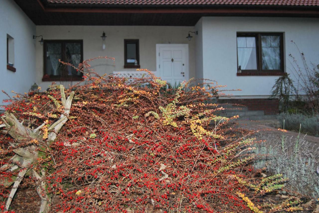Pokoje Nad Mlynem Strykow Exterior photo