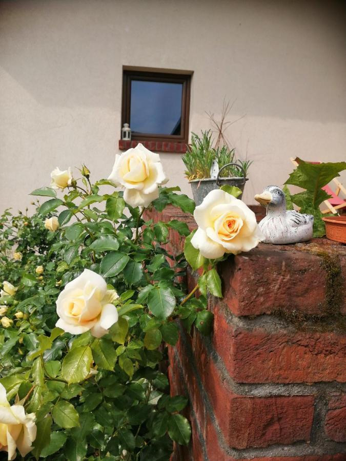 Pokoje Nad Mlynem Strykow Exterior photo